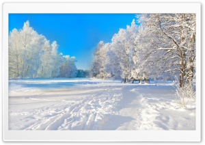 winter Ultra HD Wallpaper for 4K UHD Widescreen desktop, tablet & smartphone