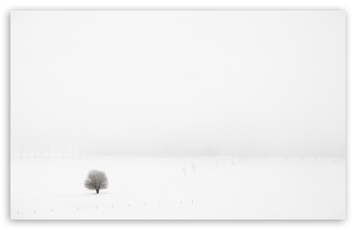 雪の中の木 壁紙 お洒落シンプルな 白ホワイト系 Pcデスクトップ壁紙 White Wallpaper Naver まとめ