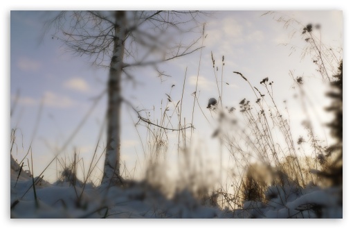 Featured image of post Blur Nature Winter Wallpapers / File_download boulders under the blue sky with storm clouds.
