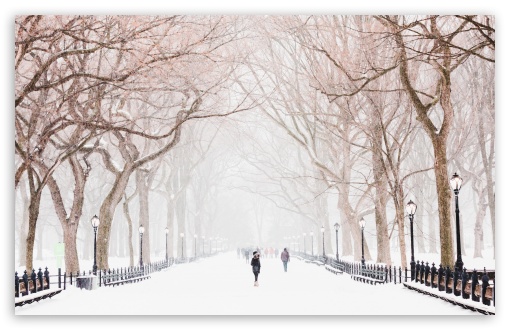 Winter, Central Park, New York City Ultra HD Desktop Background Wallpaper  for 4K UHD TV : Widescreen & UltraWide Desktop & Laptop : Tablet :  Smartphone
