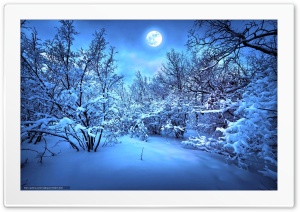 winter cool theme Ultra HD Wallpaper for 4K UHD Widescreen desktop, tablet & smartphone