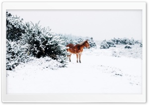 Winter Country Landscape Ultra HD Wallpaper for 4K UHD Widescreen desktop, tablet & smartphone