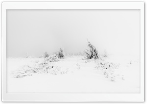 Winter Fog White Snow Trees Aesthetic Ultra HD Wallpaper for 4K UHD Widescreen desktop, tablet & smartphone