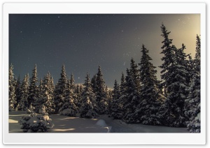 Winter Holiday Ultra HD Wallpaper for 4K UHD Widescreen desktop, tablet & smartphone