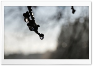 Winter Is Coming Ultra HD Wallpaper for 4K UHD Widescreen desktop, tablet & smartphone