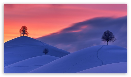 Winter Landscape UltraHD Wallpaper for UltraWide 21:9 24:10 ; 8K UHD TV 16:9 Ultra High Definition 2160p 1440p 1080p 900p 720p ; UHD 16:9 2160p 1440p 1080p 900p 720p ; Standard 4:3 5:4 Fullscreen UXGA XGA SVGA QSXGA SXGA ; Smartphone 16:9 3:2 5:3 2160p 1440p 1080p 900p 720p DVGA HVGA HQVGA ( Apple PowerBook G4 iPhone 4 3G 3GS iPod Touch ) WGA ; Tablet 1:1 ; iPad 1/2/Mini ; Mobile 4:3 5:3 3:2 16:9 5:4 - UXGA XGA SVGA WGA DVGA HVGA HQVGA ( Apple PowerBook G4 iPhone 4 3G 3GS iPod Touch ) 2160p 1440p 1080p 900p 720p QSXGA SXGA ;