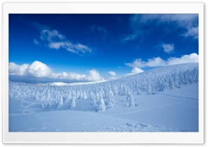 Winter Landscape Ultra HD Wallpaper for 4K UHD Widescreen desktop, tablet & smartphone