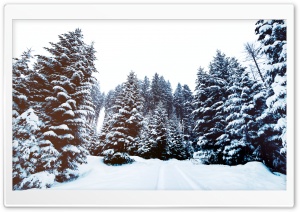 Winter Landscape Nature Ultra HD Wallpaper for 4K UHD Widescreen desktop, tablet & smartphone