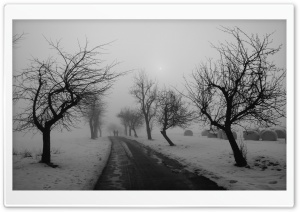 Winter Road Black And White Ultra HD Wallpaper for 4K UHD Widescreen desktop, tablet & smartphone