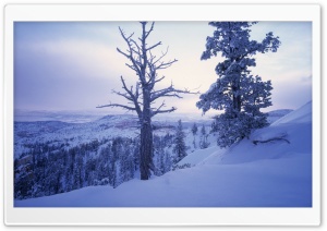 Winter Scenery Ultra HD Wallpaper for 4K UHD Widescreen desktop, tablet & smartphone