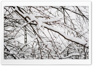 Winter Snow Ultra HD Wallpaper for 4K UHD Widescreen desktop, tablet & smartphone