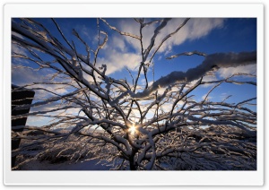 Winter Sunrise 2 Ultra HD Wallpaper for 4K UHD Widescreen desktop, tablet & smartphone