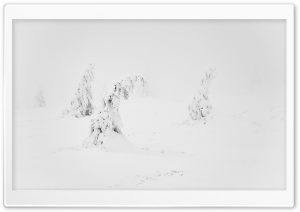 Winter White Snow Aesthetic Ultra HD Wallpaper for 4K UHD Widescreen desktop, tablet & smartphone