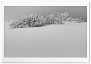 Winter White Snow Aesthetic Black and White Ultra HD Wallpaper for 4K UHD Widescreen desktop, tablet & smartphone