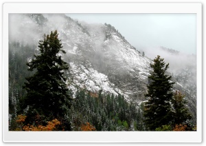 Winter Wilderness Ultra HD Wallpaper for 4K UHD Widescreen desktop, tablet & smartphone