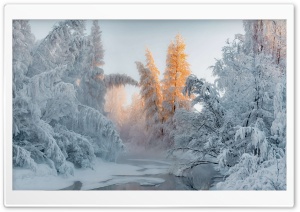 Winter Wonderland Ultra HD Wallpaper for 4K UHD Widescreen desktop, tablet & smartphone