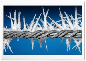 Wire Fence, Winter Ultra HD Wallpaper for 4K UHD Widescreen desktop, tablet & smartphone