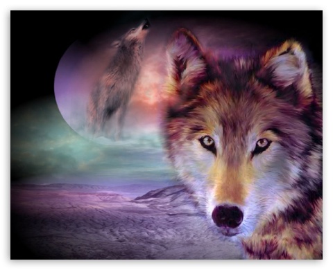 wolf UltraHD Wallpaper for Standard 5:4 Fullscreen QSXGA SXGA ; Mobile 5:4 - QSXGA SXGA ;