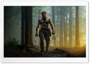 Wolverine, Forest, Trees Ultra HD Wallpaper for 4K UHD Widescreen desktop, tablet & smartphone