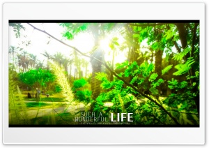 Wonderful LIFE Ultra HD Wallpaper for 4K UHD Widescreen desktop, tablet & smartphone