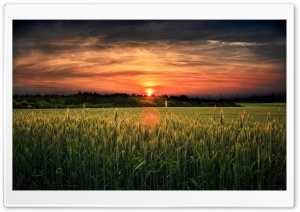 Wonderful Sunset Ultra HD Wallpaper for 4K UHD Widescreen desktop, tablet & smartphone