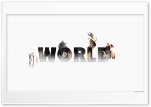 WORLD 1S Ultra HD Wallpaper for 4K UHD Widescreen desktop, tablet & smartphone