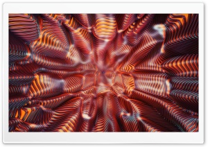 Wormhole Sci-Fi Ultra HD Wallpaper for 4K UHD Widescreen desktop, tablet & smartphone