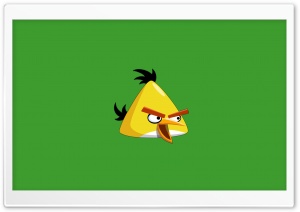 Yellow Angry Bird Ultra HD Wallpaper for 4K UHD Widescreen desktop, tablet & smartphone