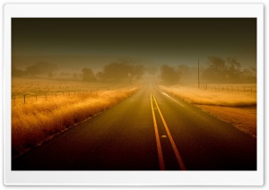 Yellow Grass Ultra HD Wallpaper for 4K UHD Widescreen desktop, tablet & smartphone