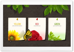 Yellow-Red-Green Ultra HD Wallpaper for 4K UHD Widescreen desktop, tablet & smartphone