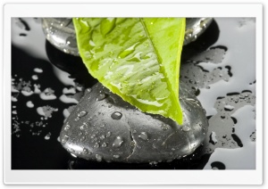 Zen Stone And Leaf Ultra HD Wallpaper for 4K UHD Widescreen desktop, tablet & smartphone