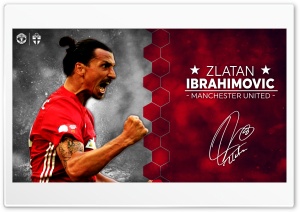 Zlatan Ibrahimovic Manchester United 2016 17 Ultra HD Wallpaper for 4K UHD Widescreen desktop, tablet & smartphone