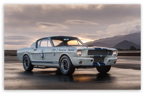 1965 Shelby GT350 Fastback Muscle Car UltraHD Wallpaper for UHD 16:9 ; HD 16:9 ; UltraWide 21:9 24:10 32:9 32:10 ; Widescreen 16:10 5:3 ; Fullscreen 4:3 5:4 3:2 ; Dual 16:10 5:3 16:9 4:3 5:4 3:2 ;