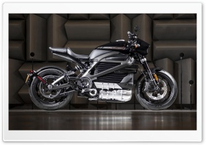 2019 Harley Davidson Livewire Ultra HD Wallpaper for 4K UHD Widescreen desktop, tablet & smartphone
