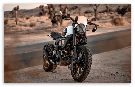 2025 Ducati Scrambler Anniversary Edition Bike UltraHD Wallpaper for UHD 16:9 ; HD 16:9 ; Widescreen 16:10 5:3 ; Fullscreen 4:3 5:4 3:2 ; Tablet 1:1 ; Mobile 2:3 3:4 ;