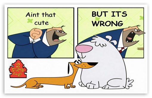 2 stupid dogs UltraHD Wallpaper for UHD 16:9 ; HD 16:9 ; Widescreen 16:10 5:3 ;