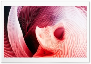 3D Abstract Shell Ultra HD Wallpaper for 4K UHD Widescreen desktop, tablet & smartphone