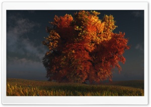 3D Autumn Tree Ultra HD Wallpaper for 4K UHD Widescreen desktop, tablet & smartphone