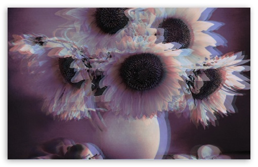 3d sunflowers UltraHD Wallpaper for Wide 16:10 5:3 Widescreen WHXGA WQXGA WUXGA WXGA WGA ; Mobile 5:3 - WGA ;