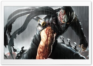 .Ninja Gaiden 3. Ultra HD Wallpaper for 4K UHD Widescreen desktop, tablet & smartphone