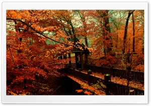 A Bridge to Autumn Ultra HD Wallpaper for 4K UHD Widescreen desktop, tablet & smartphone