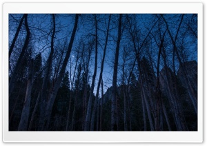 A Crescent Moon Rises Above The Merced Ultra HD Wallpaper for 4K UHD Widescreen desktop, tablet & smartphone
