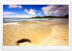 A Day At The Beach Ultra HD Wallpaper for 4K UHD Widescreen desktop, tablet & smartphone