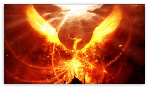 A fire bird UltraHD Wallpaper for HD 16:9 ;