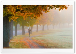 A Foggy Autumn Morning Run 4K UHD Wallpaper for Widescreen and UltraWide Desktop, UltraHD TV, Smartphone, Tablet