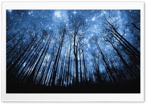 A Forest Of Stars Ultra HD Wallpaper for 4K UHD Widescreen desktop, tablet & smartphone