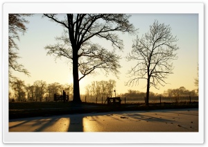 A Frozen Pond Near The Kromme Rijn River Ultra HD Wallpaper for 4K UHD Widescreen desktop, tablet & smartphone