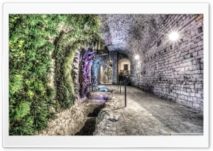 A Garden in the Basement Girona Cathedral, Catalonia Ultra HD Wallpaper for 4K UHD Widescreen Desktop, Lockscreen, Screensaver, TV, Tablet, Smartphone