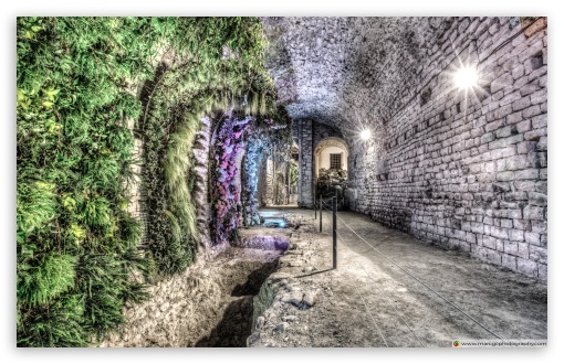 A Garden in the Basement Girona Cathedral, Catalonia UltraHD Wallpaper for UHD 16:9 ; HD 16:9 ; Widescreen 16:10 ; Fullscreen 4:3 5:4 ; Mobile 9:16 ;