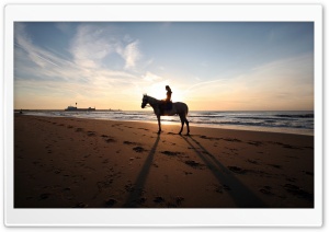 A Horse Ride On The Beach Ultra HD Wallpaper for 4K UHD Widescreen desktop, tablet & smartphone